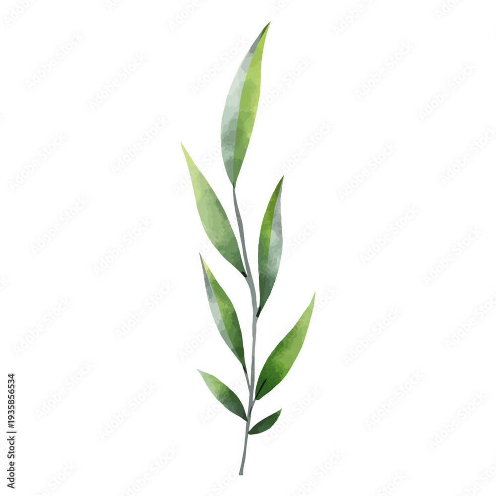 Fototapeta premium Green leaves watercolor