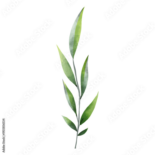 Green leaves watercolor