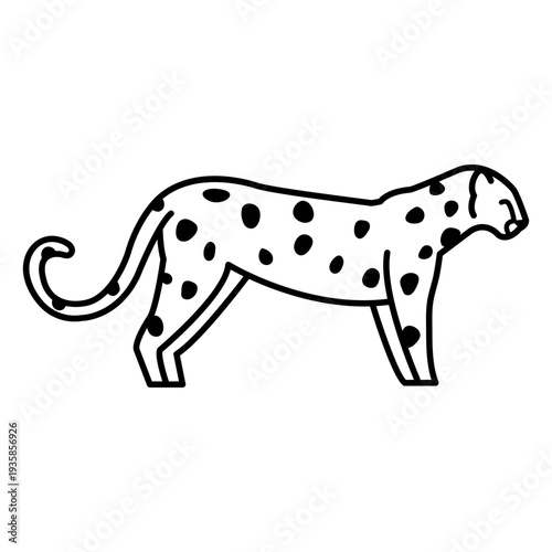 Cheetah feline animal stroke