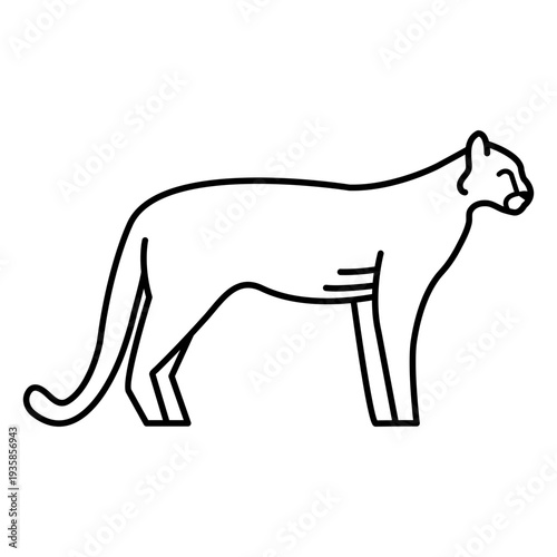 Wild cat feline animal stroke