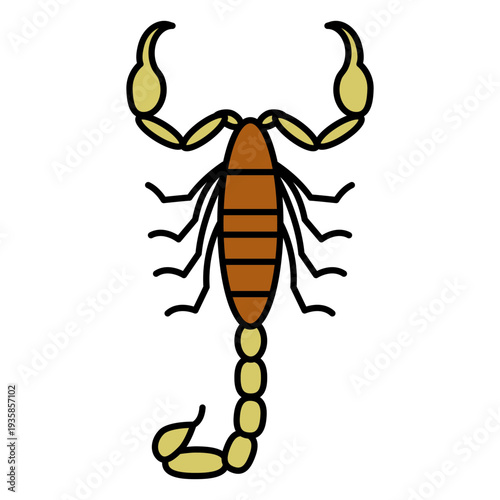 Scorpion bug color stroke