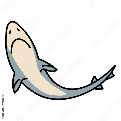 Shark sea animal color stroke