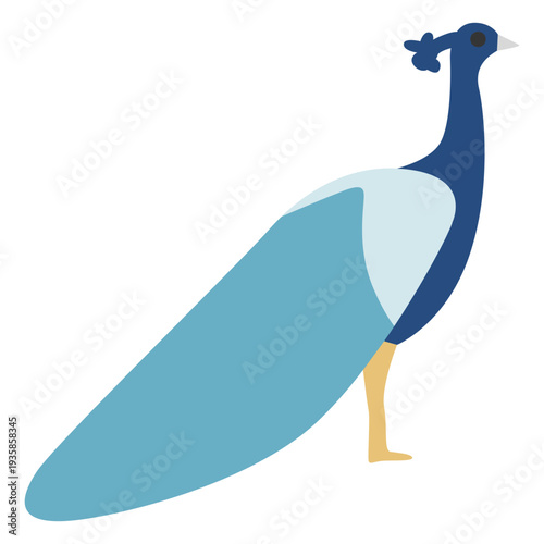 Blue peacock animal