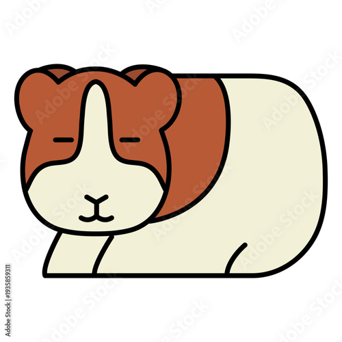 Hamster rodent sleeping