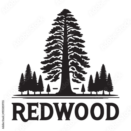 Redwood forest landscape badge silhouette with text, giant sequoia vector illustration