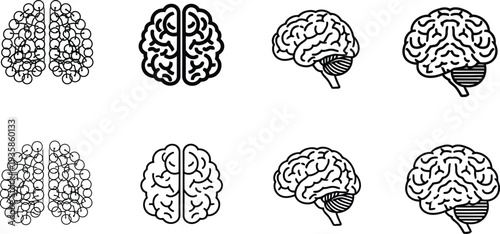Human brain icon variations a collection of detailed illustrations, Human brain icon set solid and outline style isolated on white background.