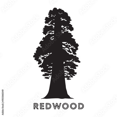 Giant redwood tree silhouette isolated on white background, sequoia vector illustration