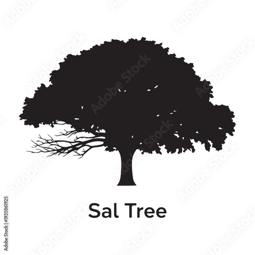 Sal tree silhouette isolated on white background, shorea robusta vector illustration