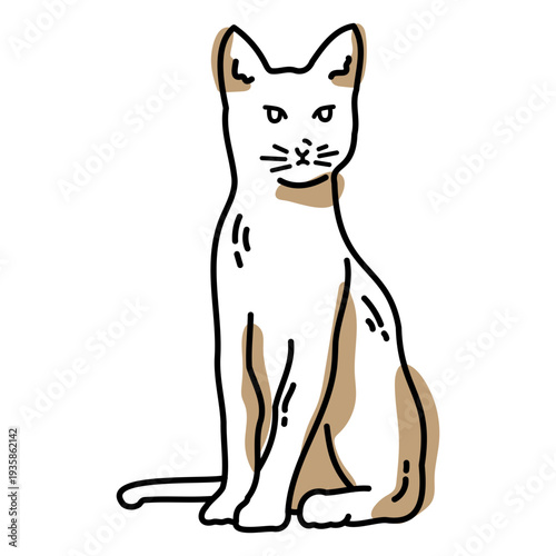 Color stroke semi colored cat