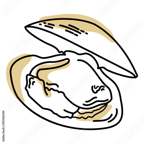 Color stroke semi colored clam shell