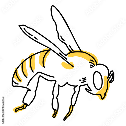 Color stroke semi colored wasp