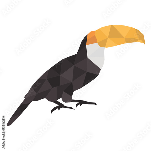 Toucan bird polygonal