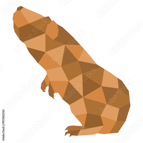 Color polygonal guinea pig