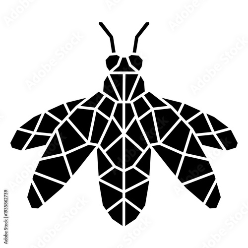 Polygonal cut out beetle with open wings