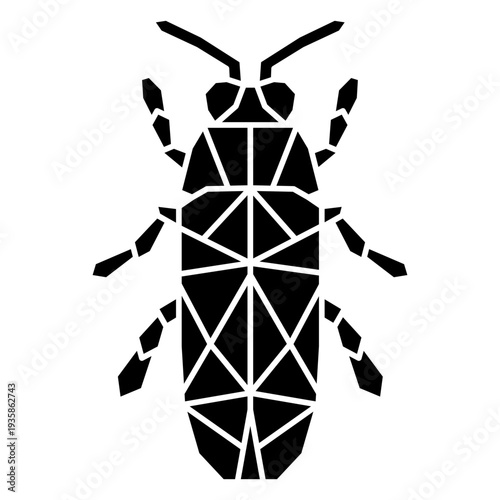 Polygonal cut out beetle from top