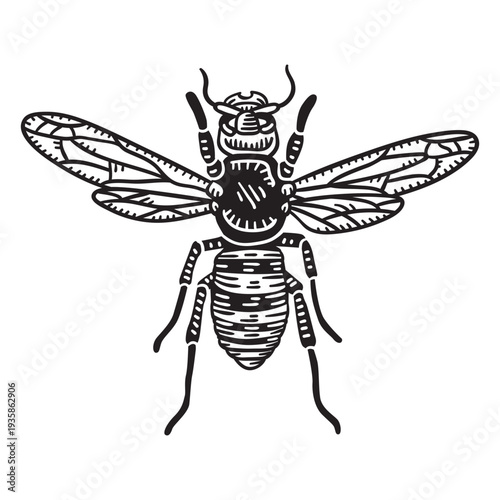 Hand drawn cut out honey bee