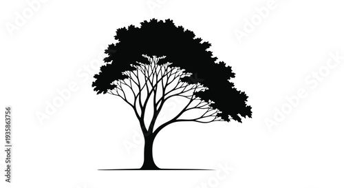 A black silhouette of a tree with a sprawling canopy