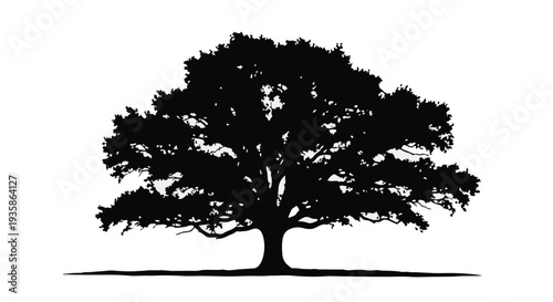 A large tree silhouette with sprawling branches and leaves