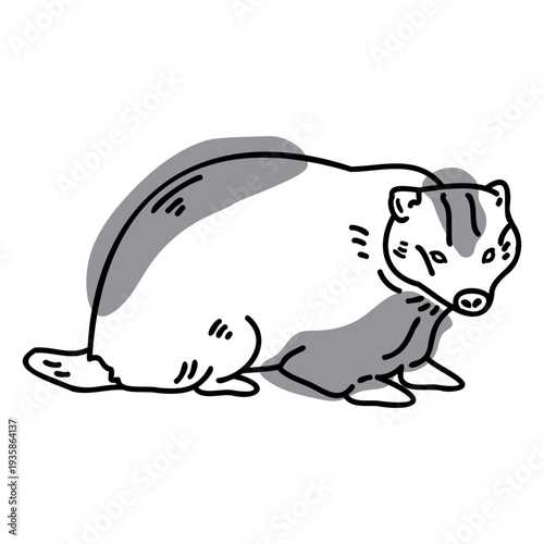 Semi colored badger color stroke