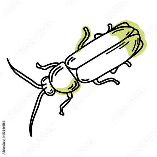 Semi colored color stroke firefly