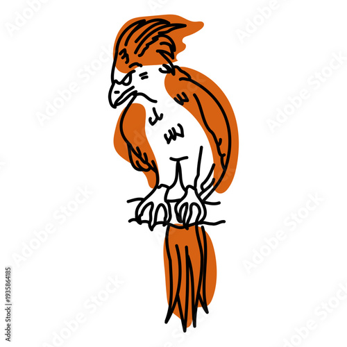 Cockatoo Bird color stroke