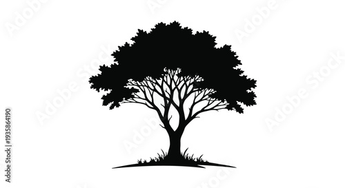 Black silhouette of a tree with sprawling branches and leaves