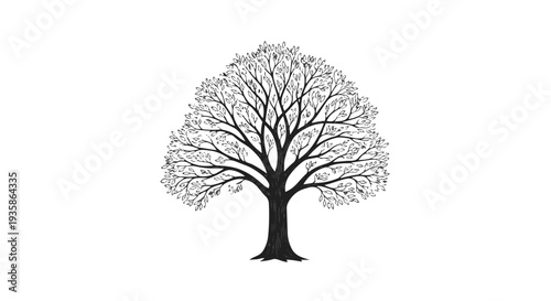 A black silhouette of a tree with bare branches on a, symbolizing nature and simplicity