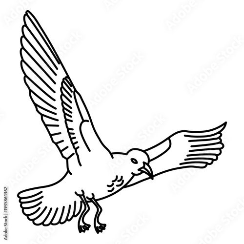 Flying extended wings stroke seagull