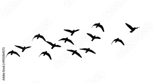 A flock of birds flying in formation against a pure white sky