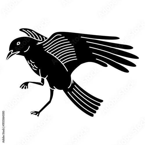 Cut out flying seagull