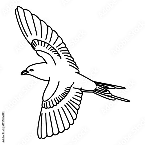 Flying with extended wing stroke seagull