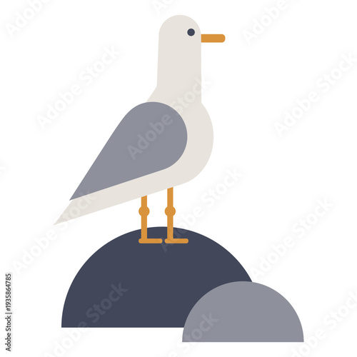 Seagull on a rock flat