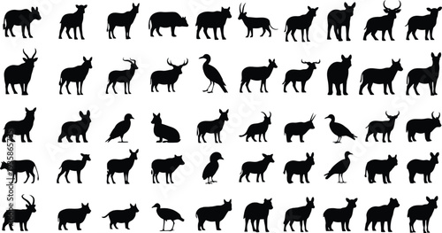 Vector graphics of various animal silhouettes for design and illustration