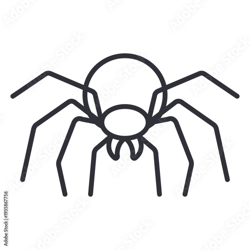 Frontal spider geometric stroke