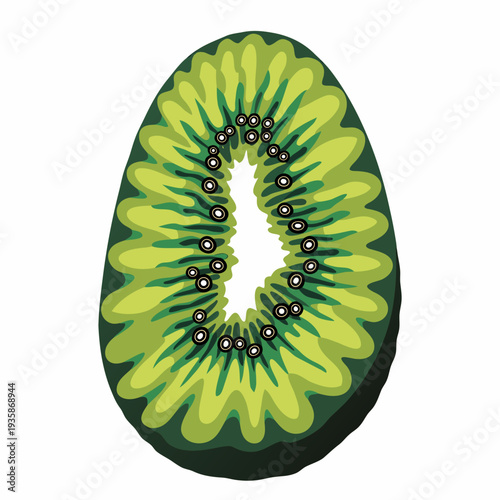 A kiwi fruit cut in half on a white background