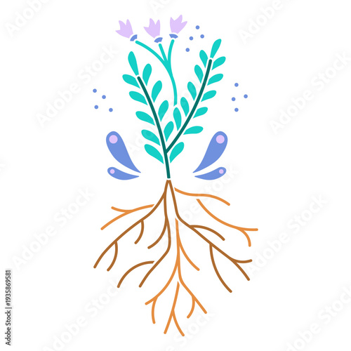 Leaves and roots plant color cut out