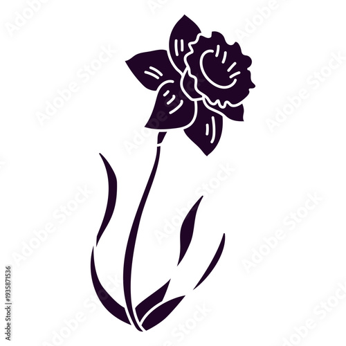 Narcissus in a stem cut out