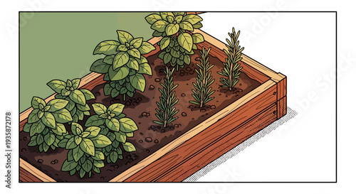 Flat style comic garden bed with basil and rosemary in raised wooden planter