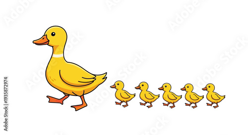 A mother duck leads her four small ducklings in a single file line