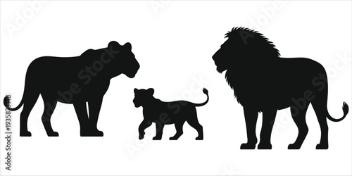 Black silhouette of a lion family with cub on white background lioness