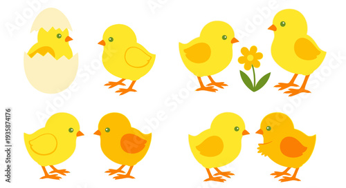 Cute yellow chicks in various stages with a flower on a white background