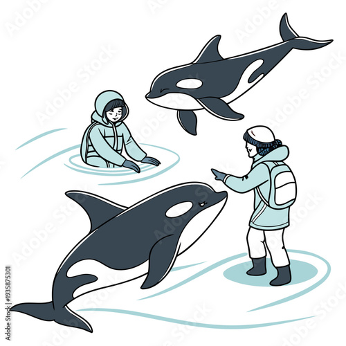 Of people interacting with orcas in water calm interaction