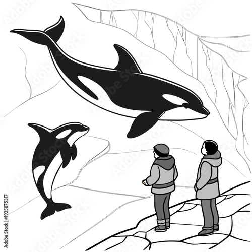 Orcas swim beneath ice crack people observe black and white