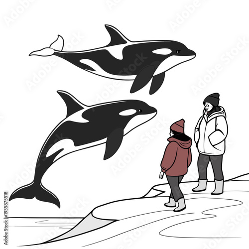 Two orcas swimming near ice shore with two people observing