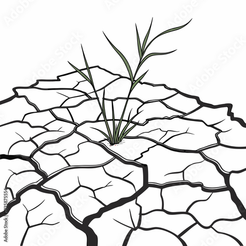 Cracked dry earth with green grass growing cracked earth