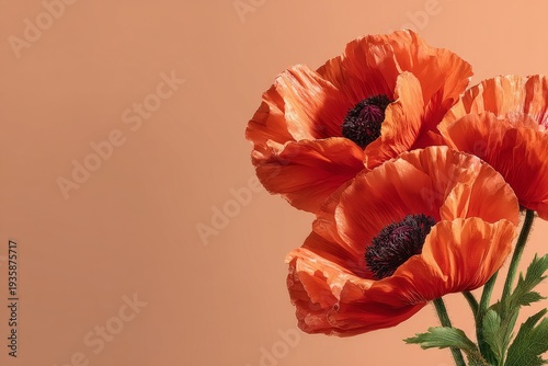 Vivid red poppies softly focused, set against a delicate backdrop for gentle floral aesthetics