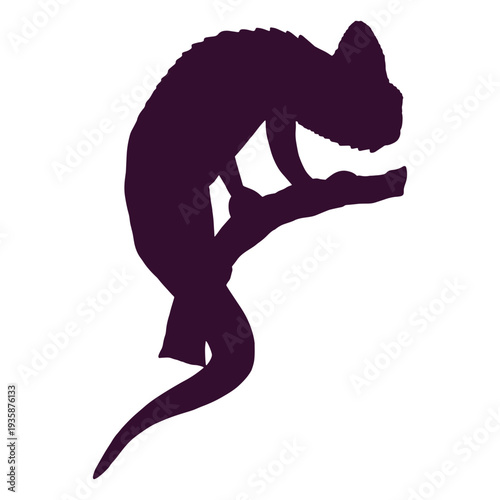 Chameleon profile silhouette