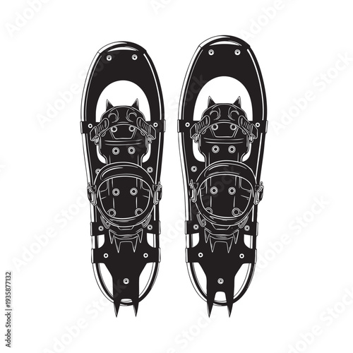 pair of snowshoes on transparent background cut out isolated illustration on transparent background layout