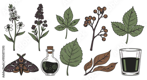 Botanical Elements with Moth Potion Bottle and Glass of Liquid Decorative Elements