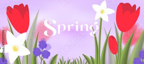 A spring floral background with tulips and daffodils, blurred abstract petals. The florals feature a red and white gradient blur, delicate blooms, and green leaves. A vector natural landscape